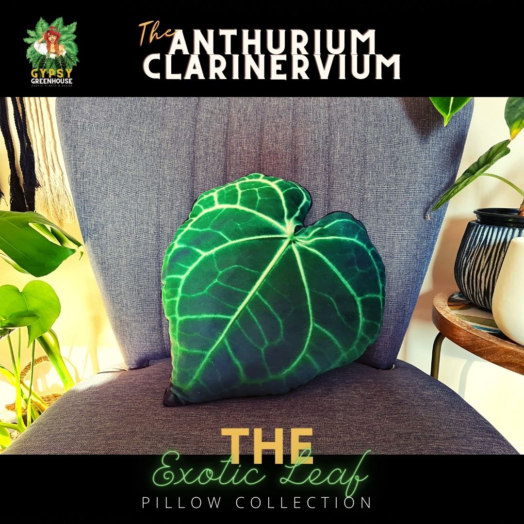 Anthurium Clarinervium Velvet Leaf Pillow