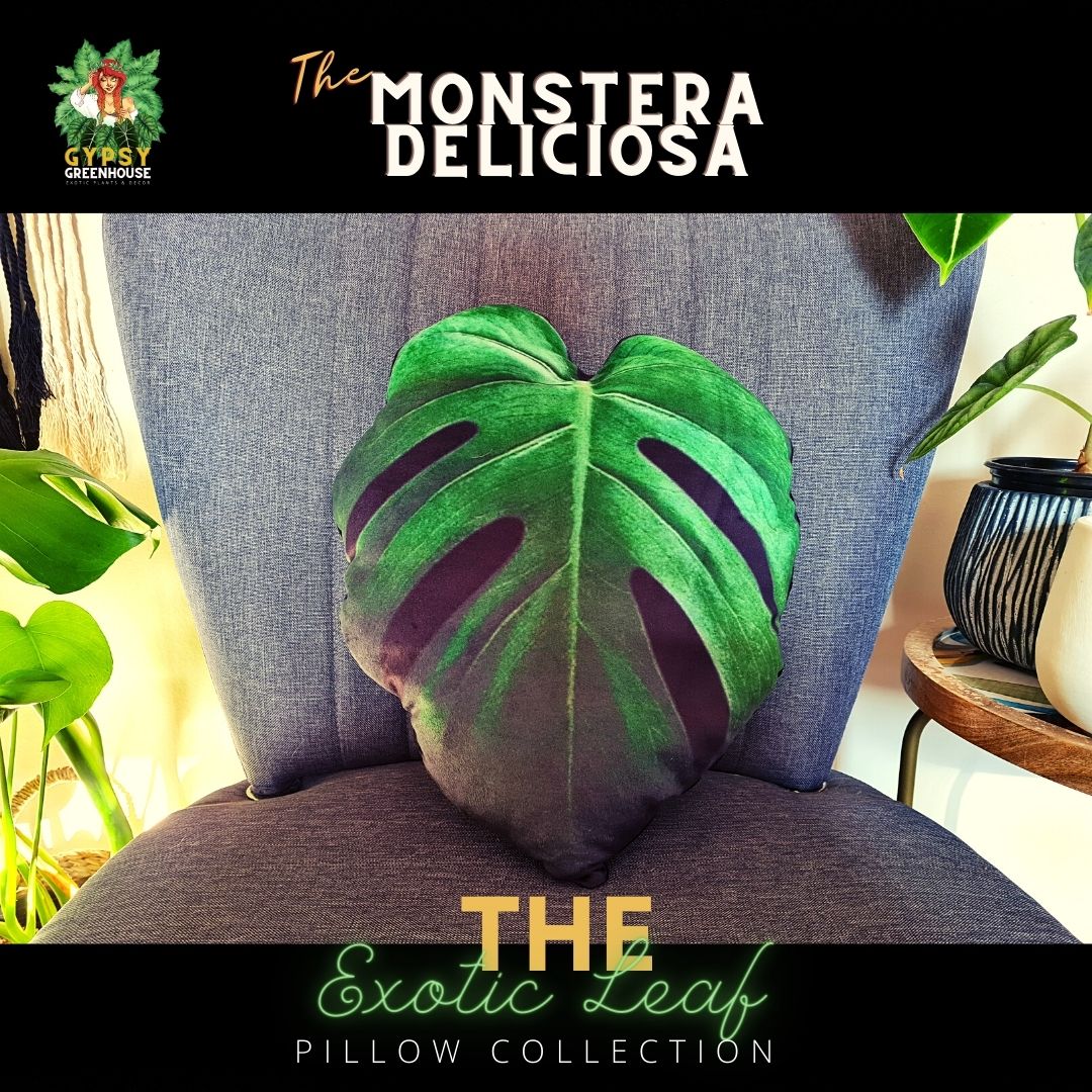Monstera Deliciosa Velvet Leaf Pillow