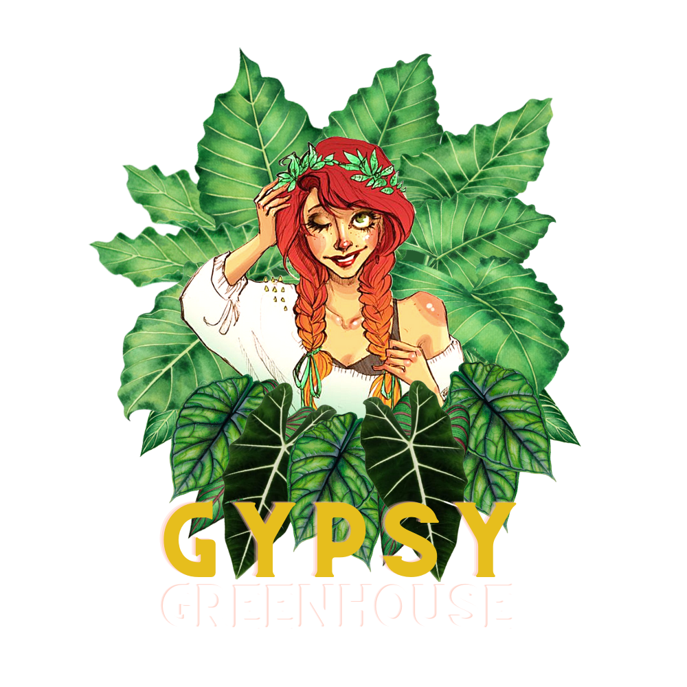 Gypsy Greenhouse