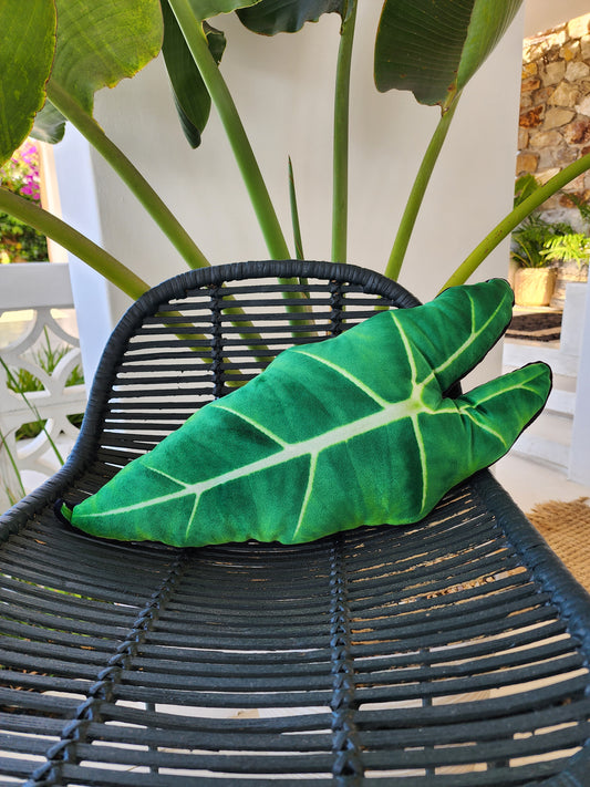 Alocasia Frydek Velvet Leaf Pillow