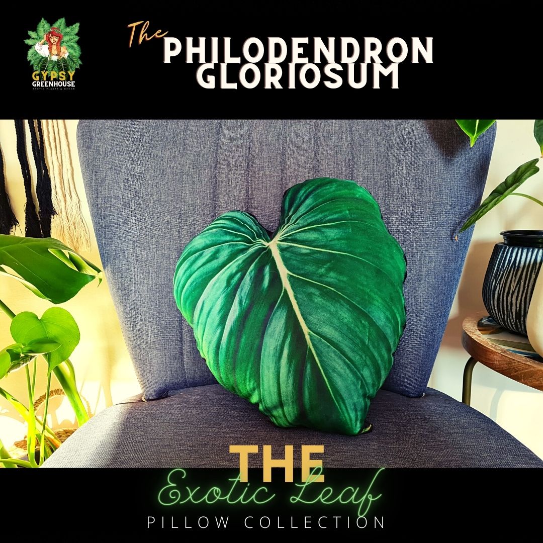 Philodendron Gloriosum Velvet Leaf Pillow
